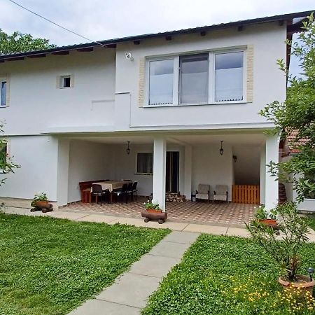 Гостевой дом Casa Pandrea Кырцишоара Экстерьер фото