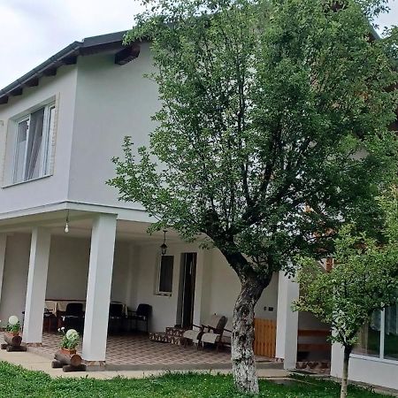 Гостевой дом Casa Pandrea Кырцишоара Экстерьер фото