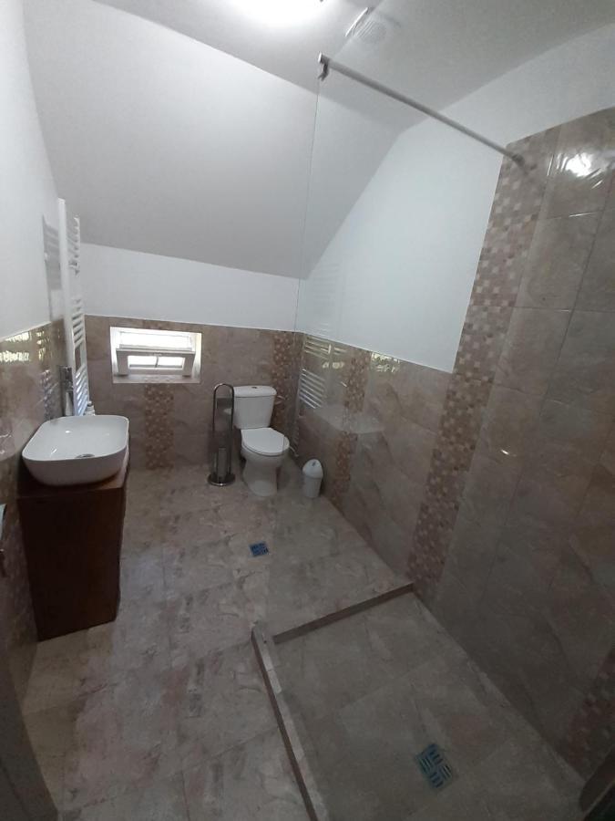 Гостевой дом Casa Pandrea Кырцишоара Экстерьер фото