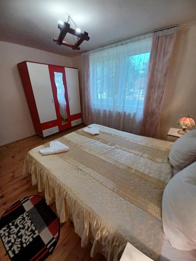Гостевой дом Casa Pandrea Кырцишоара Экстерьер фото