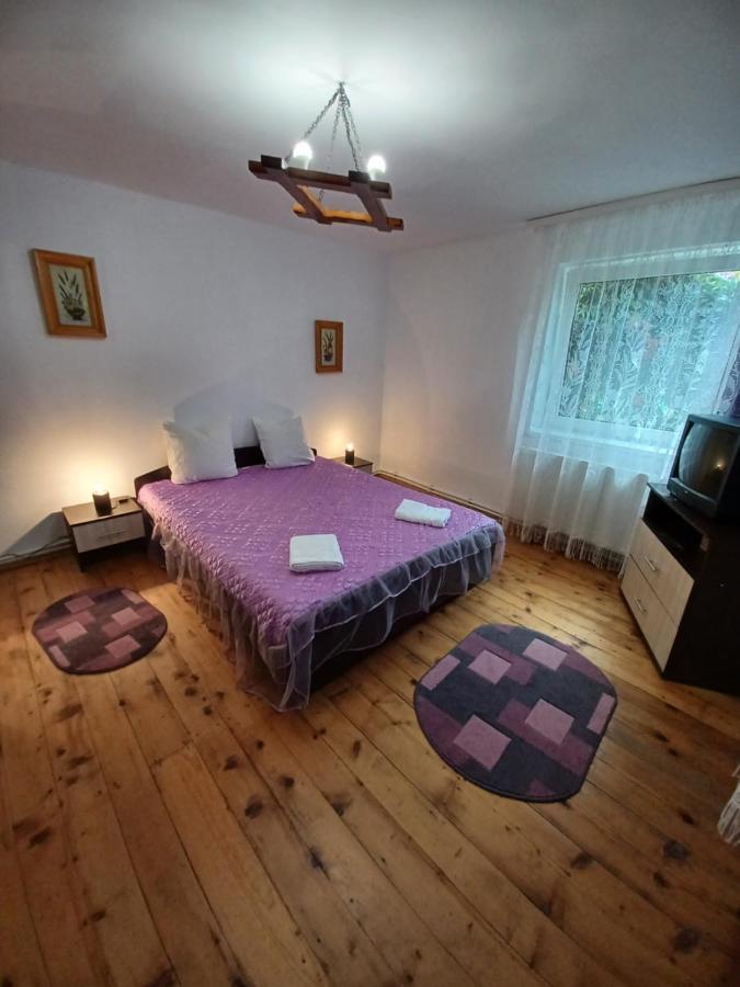 Гостевой дом Casa Pandrea Кырцишоара Экстерьер фото