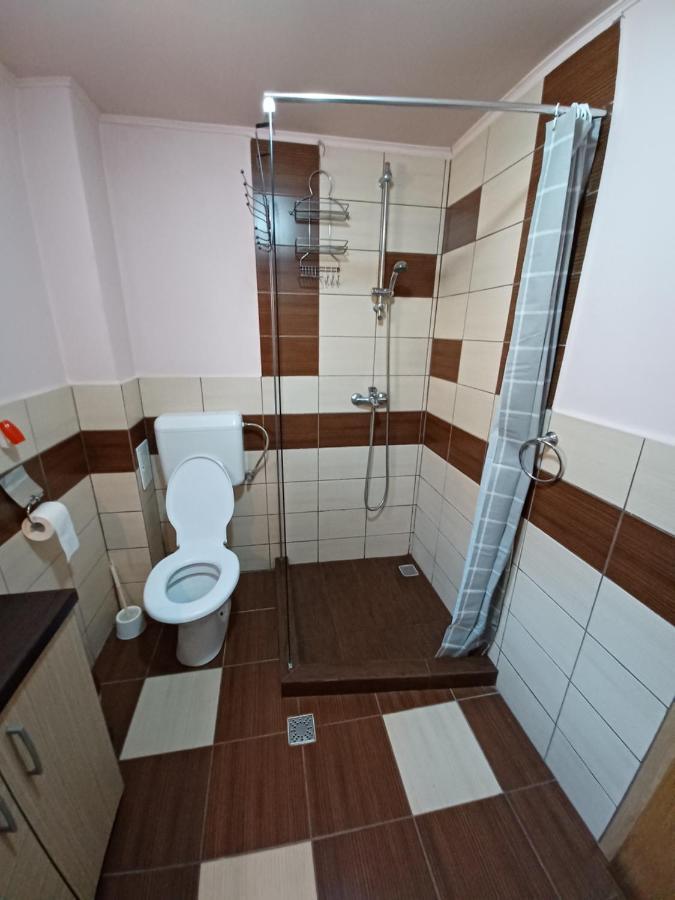 Гостевой дом Casa Pandrea Кырцишоара Экстерьер фото